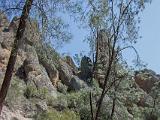Pinnacles NM 005